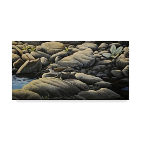 Wilhelm Goebel 'Along The Creek' Canvas Art,24x47